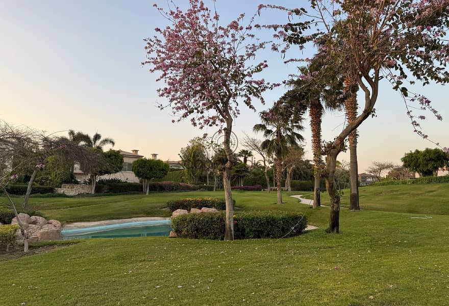 10 efa47134-78ac-4654-8c5c-13bace379f39. jpg