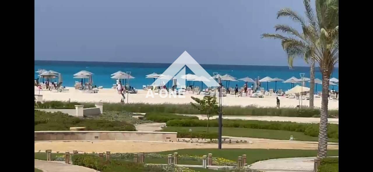 2 7488d023-6662-4977-a4f3-7d4134e6ccd7. jpg