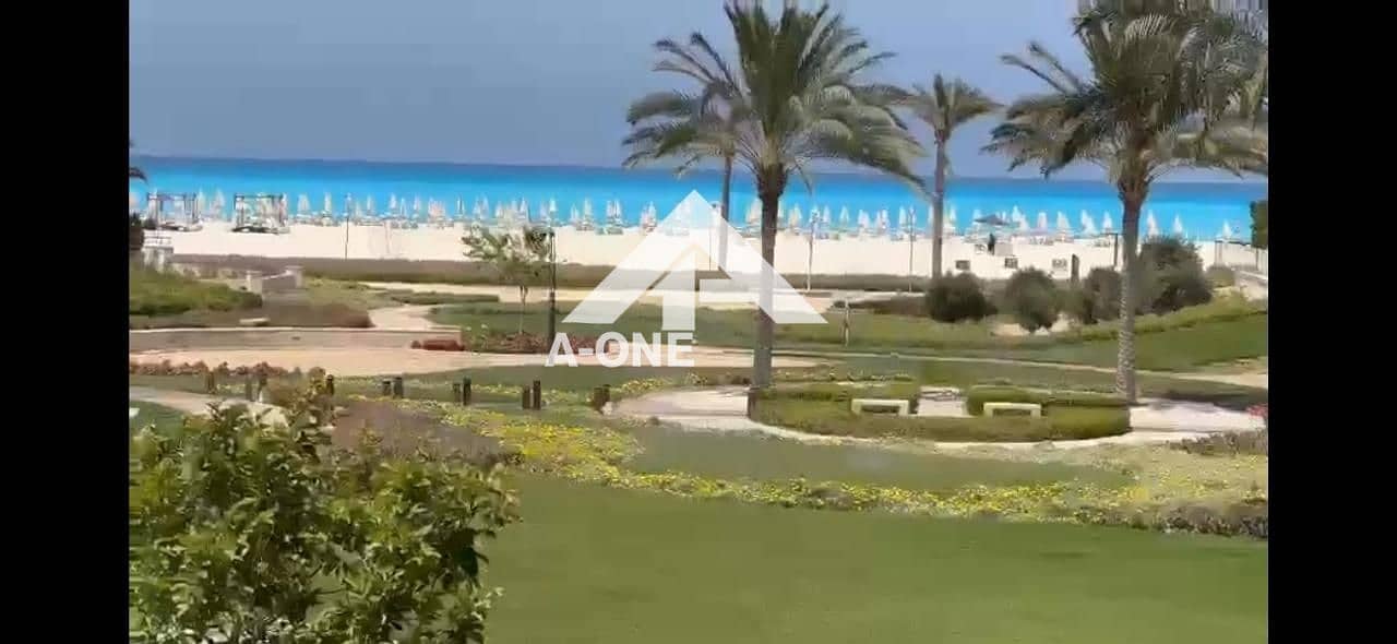 3 4851fda5-b91c-4418-b5cb-0b2014536497. jpg