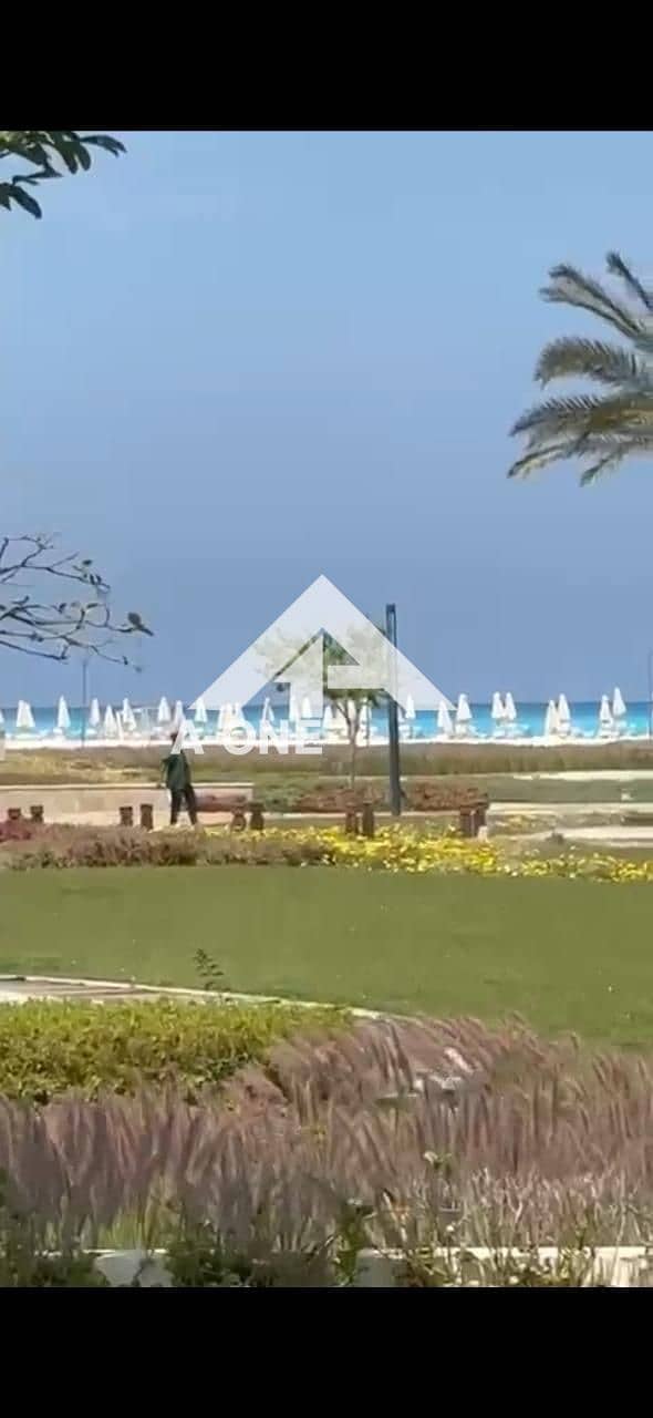 6 e39678f2-c9d4-4e0c-99ee-55fde0adbaa5. jpg