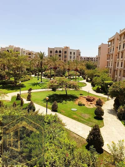 2 Bedroom Apartment for Rent in New Cairo, Cairo - IMG-20251117-WA0696. jpg