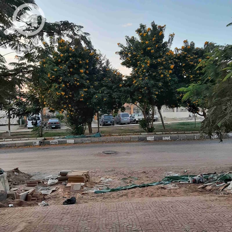 6 ٢٠٢٥١١٢٧_١٦٤٩٢٢. jpg