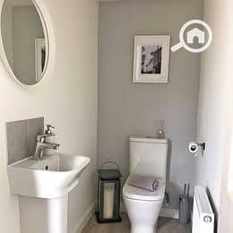 11 547324808_1162082455977962_5081315414094430699_n. jpg