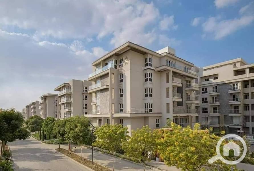 7 454957872_122147611730264853_758920732460999435_n. jpg