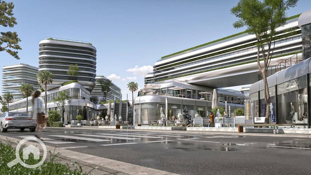 2 THE CORD  (7). jpeg