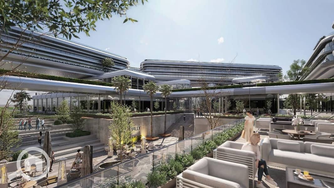 5 THE CORD  (2). jpeg