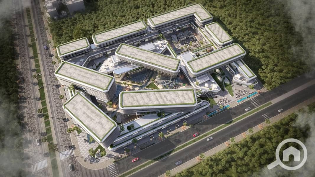 6 THE CORD  (4). jpeg