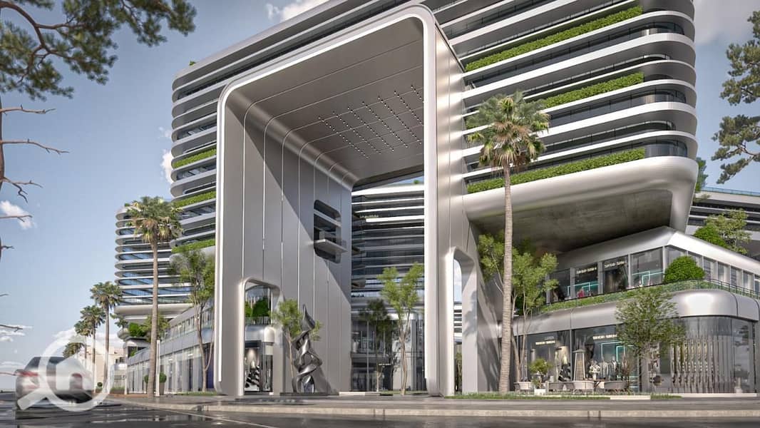 8 THE CORD  (8). jpeg