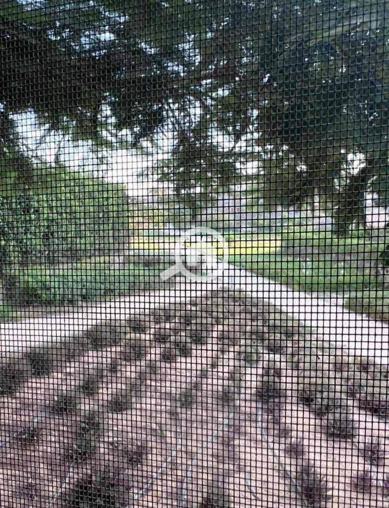 7 3cb0dd71-2015-4932-89ff-99aaaa3f365c. jpg