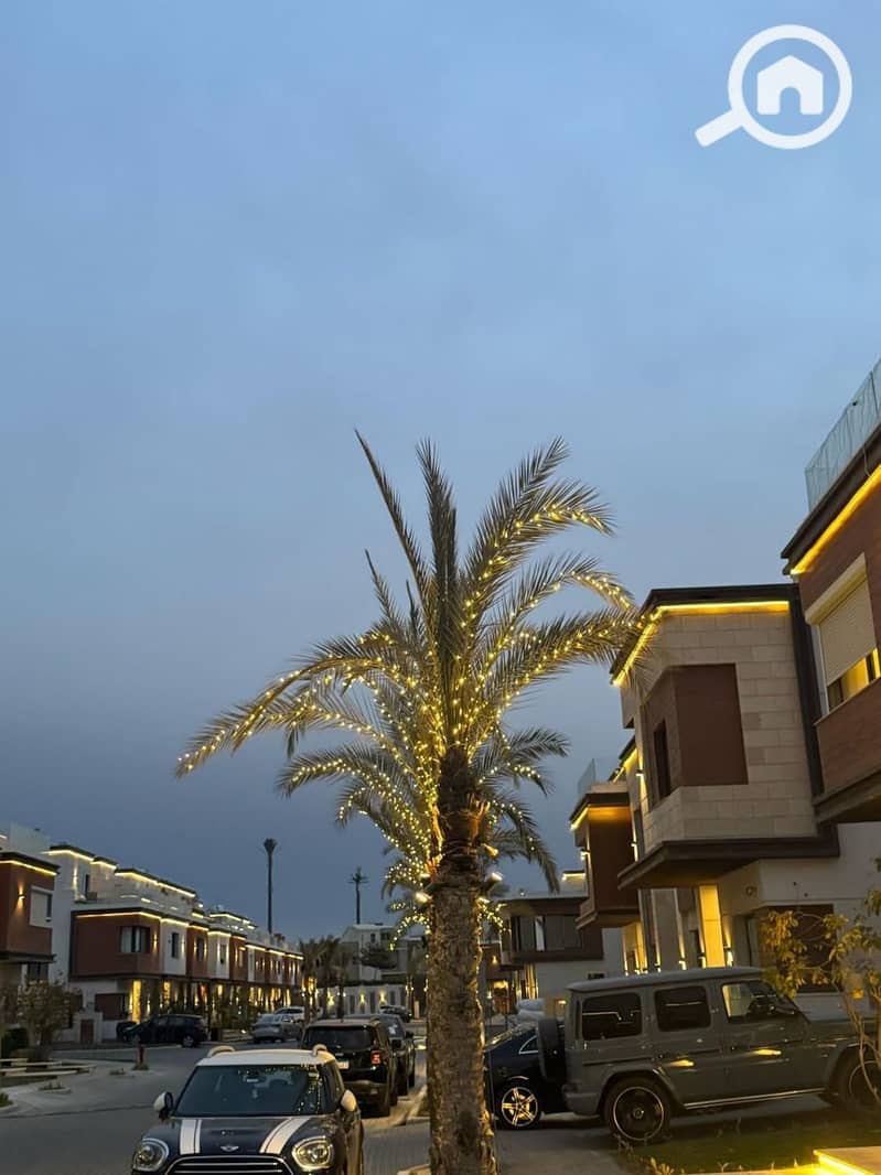 10 photo_2025-03-20_20-16-43 (3). jpg