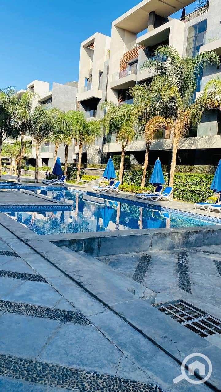 4 photo_2023-12-06_21-17-00. jpg