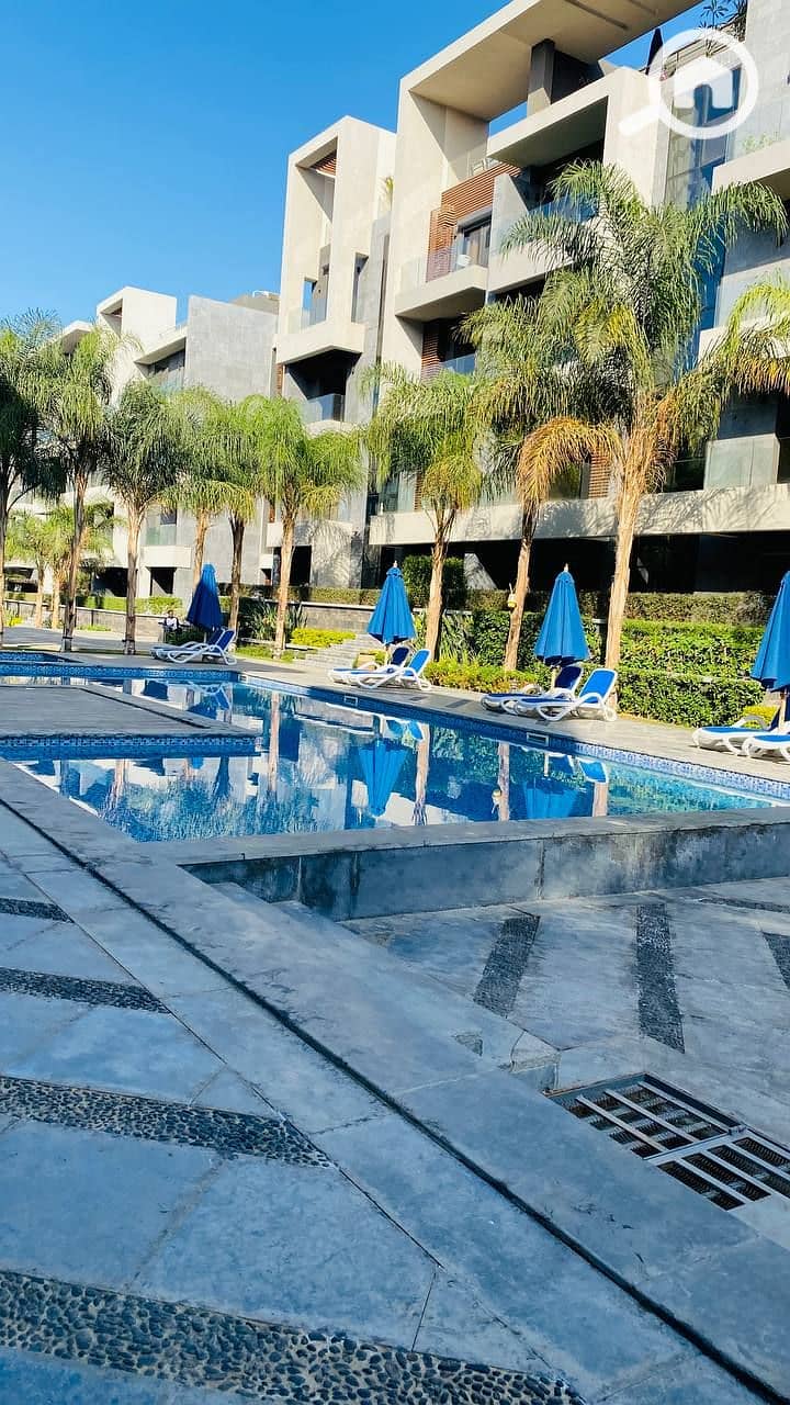 10 photo_2023-12-06_21-17-00. jpg