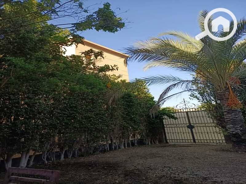 9 WhatsApp Image 2025-09-14 at 7.20. 35 PM (1). jpeg