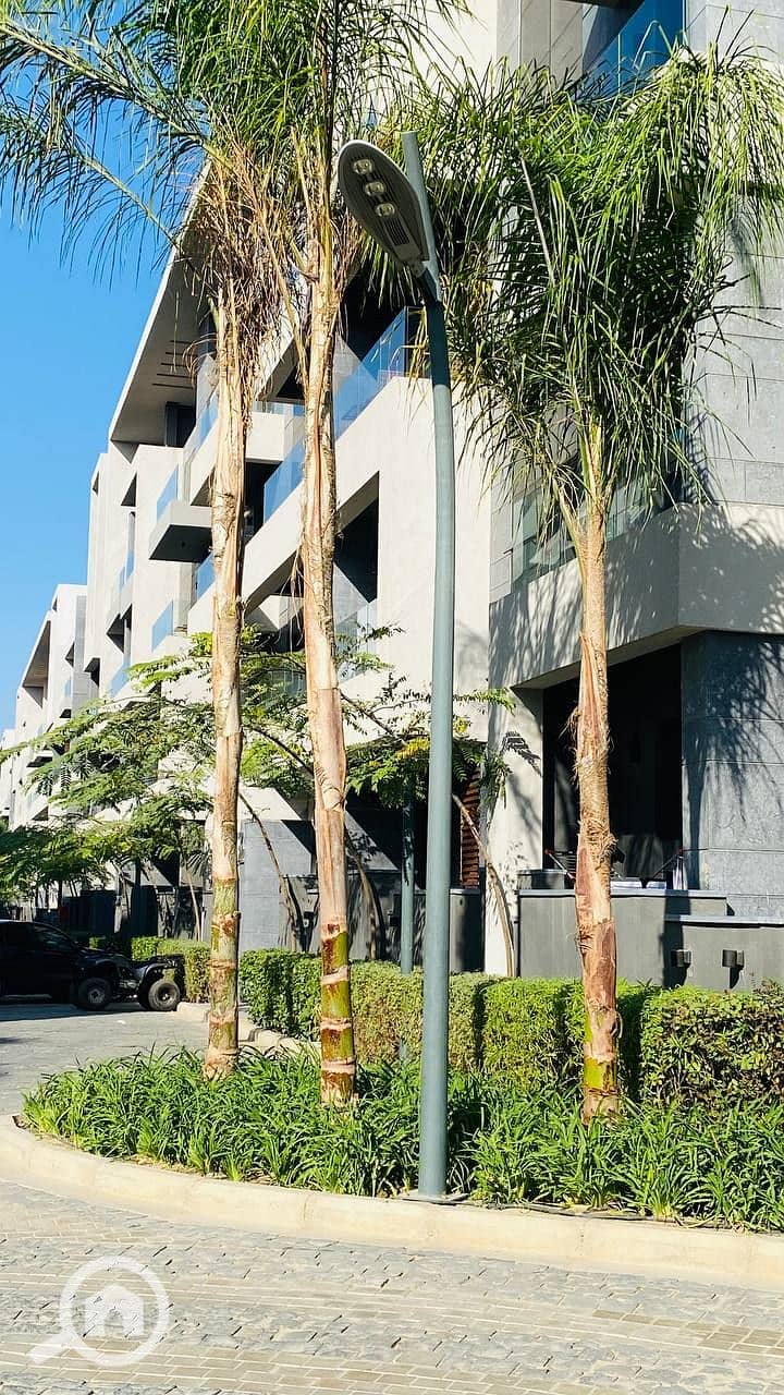 3 photo_2023-12-06_21-16-41. jpg