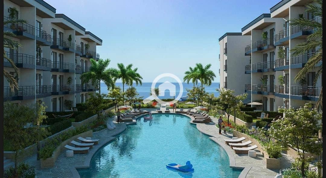 3 580436289_122166735698832288_449995447085239232_n. jpg