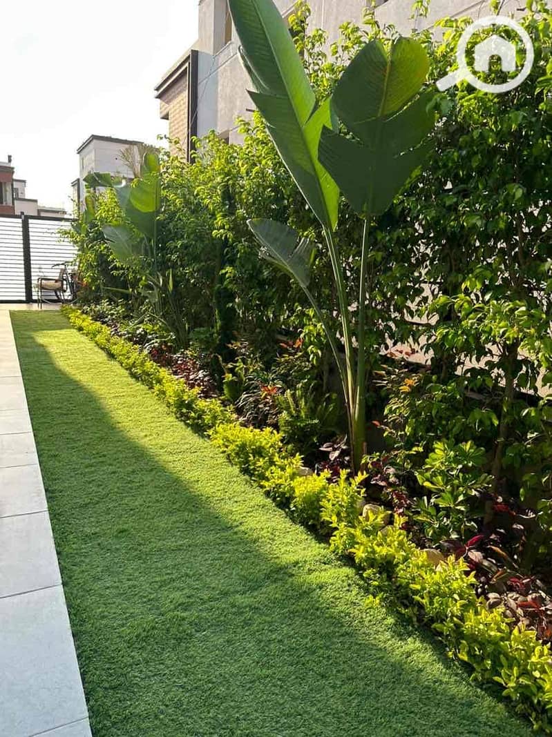 4 0993fd88-2fcd-46f9-bcb3-05091c5dff96. jpg