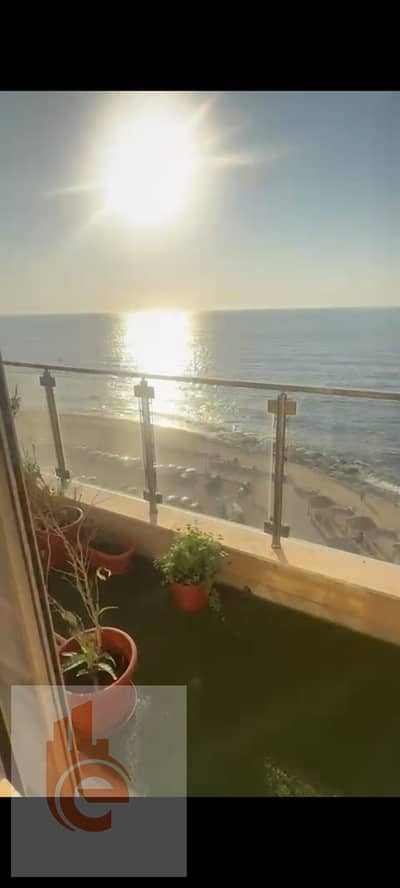 شقة 3 غرف نوم للايجار في الإبراهيمية، الإسكندرية - 756b905f-acdd-482f-b528-dff2008bb258. jpg