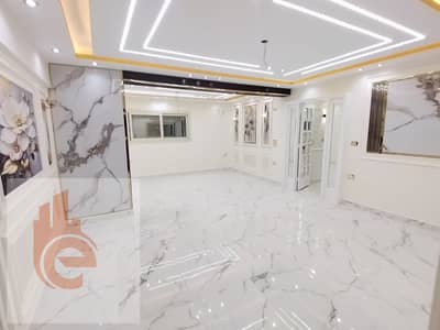 4 Bedroom Flat for Rent in Laurent, Alexandria - 9fb1a6b1-4653-43b4-a989-c6b5494d5c1a. jpg