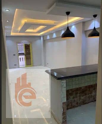 2 Bedroom Flat for Rent in Cleopatra, Alexandria - 0. png