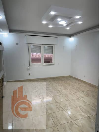 شقة 3 غرف نوم للبيع في فلمنج، الإسكندرية - 491764715_1166869361879752_3395291062079024516_n. jpg