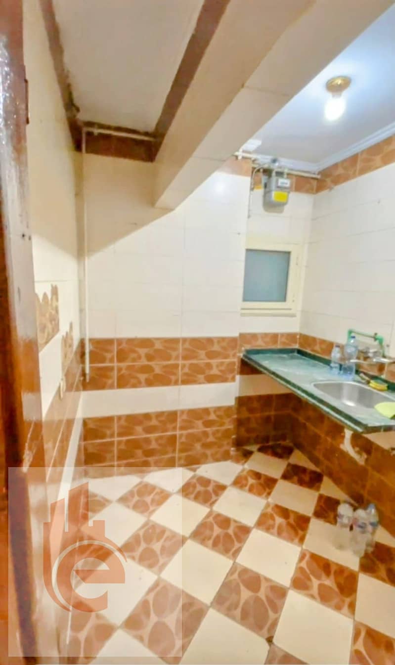 13 7d4412ad-b508-43ec-a2b9-5384a4080126. jpg