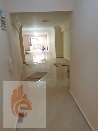 شقة 3 غرف نوم للايجار في سموحة، الإسكندرية - 584254188_1203629588481771_5496857149552309260_n (1). jpg