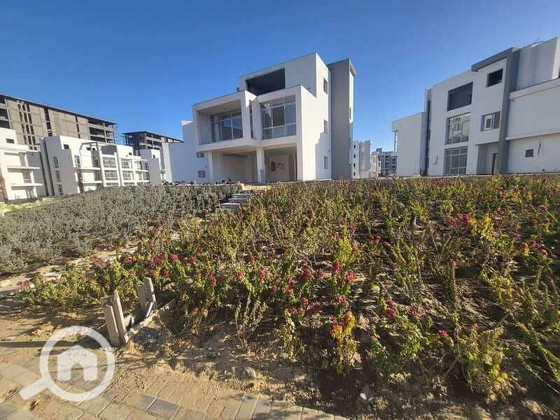 6 WhatsApp Image 2024-08-13 at 4.03. 08 PM. jpeg