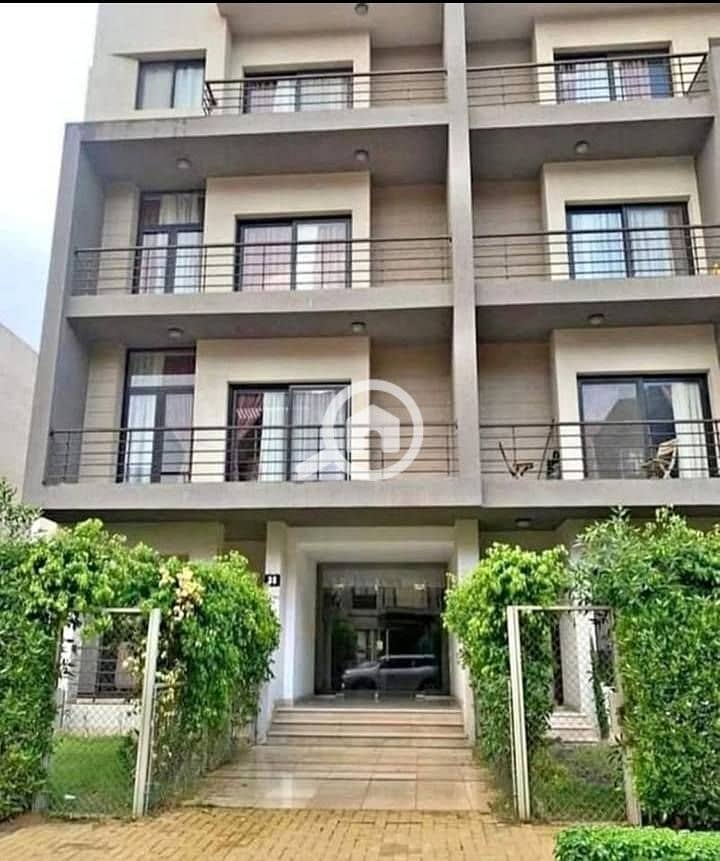 3 486330241_1716413499303482_6498893951923759352_n. jpg