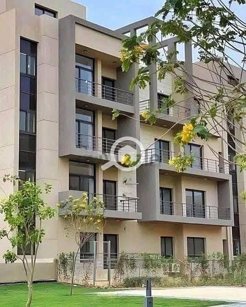 8 528462832_1968690390553906_6854347035128355330_n. jpg