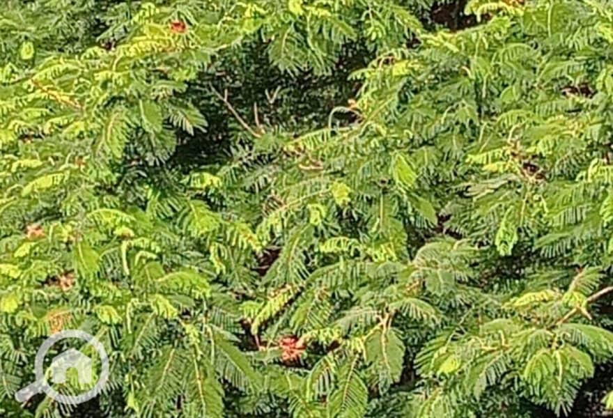 9 b7610777-b068-4d27-be05-58e924f7dc38. jpg