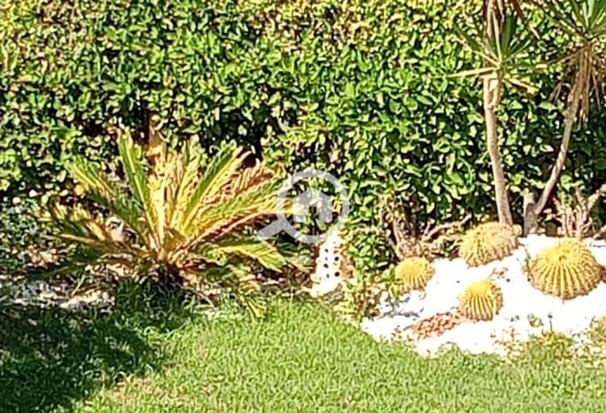 11 c42e6722-3ee8-401f-a96e-6c4b01998a6b. jpg