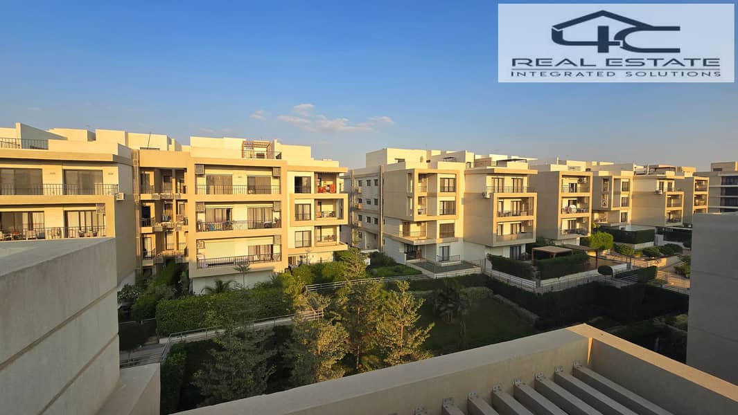 11 20251117_154501. jpg