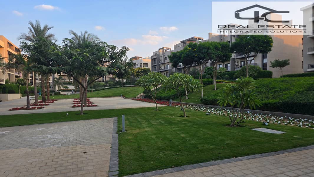 15 20251117_162505. jpg