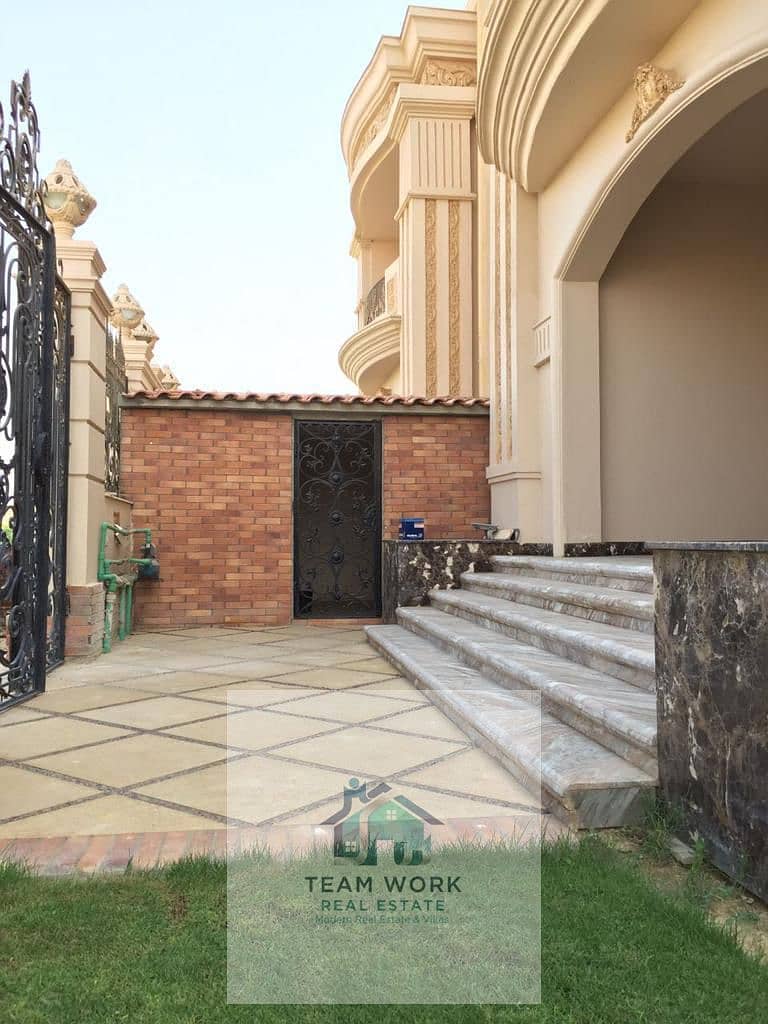 12 7291f2d2-e14a-4b7a-a77e-b7fa668e1cd4. jpg