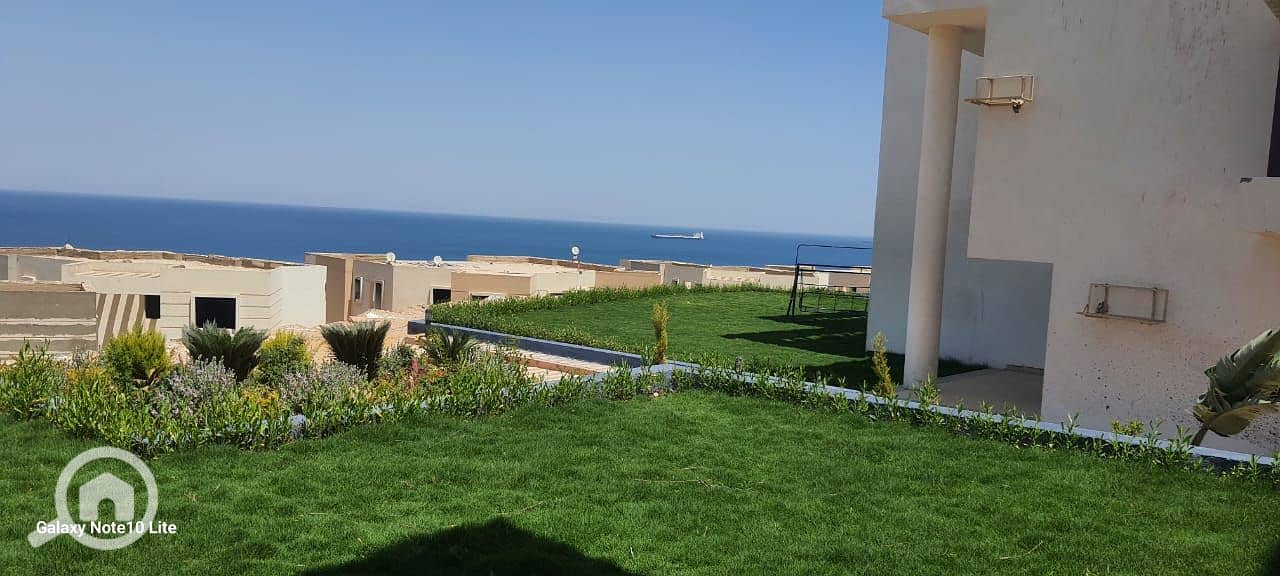 2 23454a78-e72d-4c74-a3ab-66549b00a1e1. jpg