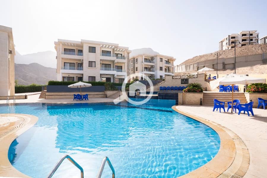 4 4f88265e-6380-4538-9172-62d6099a56b4. jpg