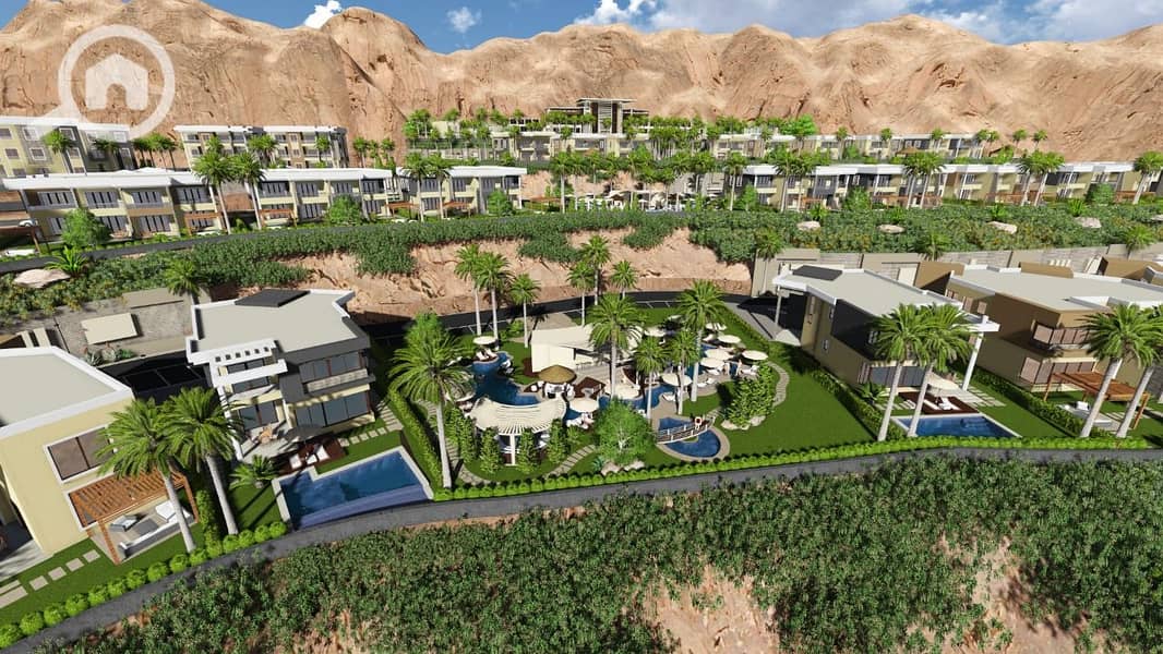 10 3bd60d86-77c8-40ff-9b75-5ef52e20b44d. jpg