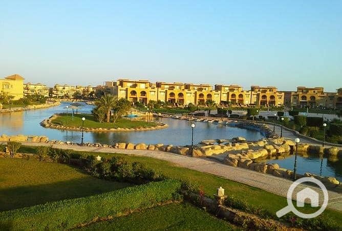 3 476220068_2284887875227472_5649252041047706673_n. jpg