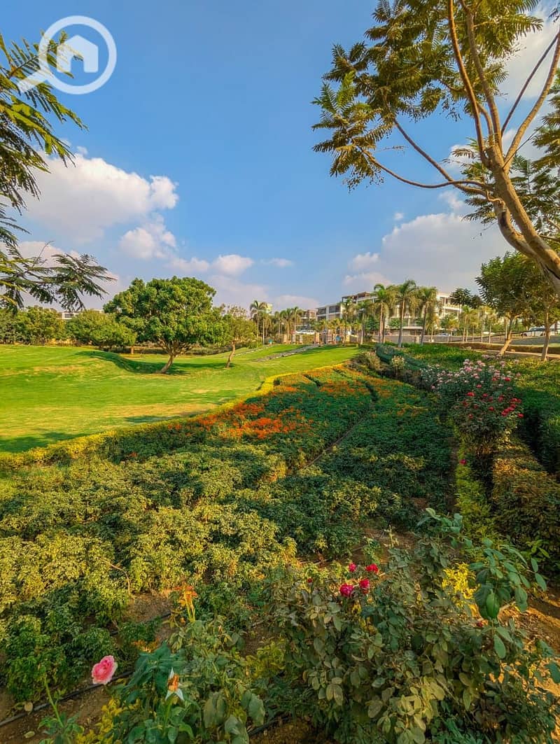 8 584341723_3060657634121943_8673948921656072109_n. jpg