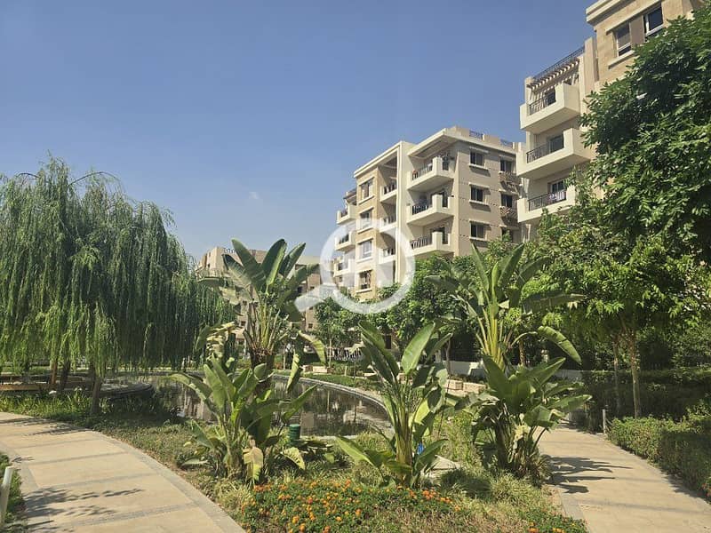 6 587067493_1910397379686114_8449728181707243048_n. jpg