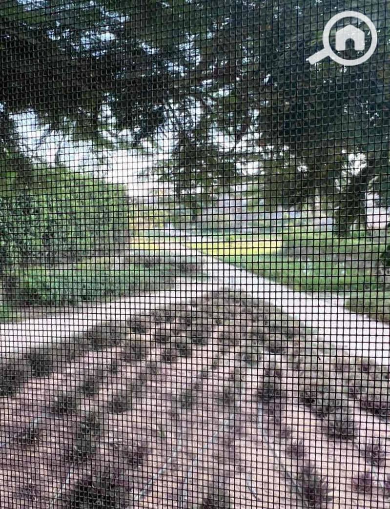 8 3cb0dd71-2015-4932-89ff-99aaaa3f365c. jpg