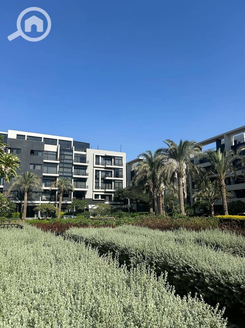 2 photo_2025-03-27_09-20-50. jpg