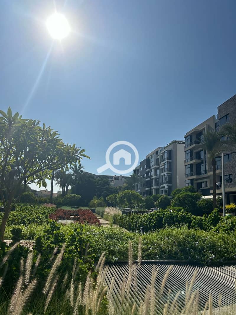 3 photo_2025-03-27_09-20-51. jpg