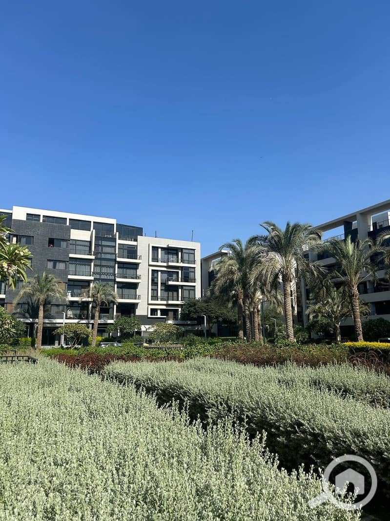 9 photo_2025-03-27_09-20-50. jpg