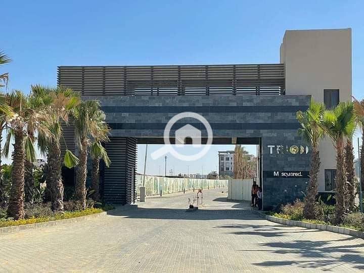 10 photo_2025-02-21_17-27-34. jpg