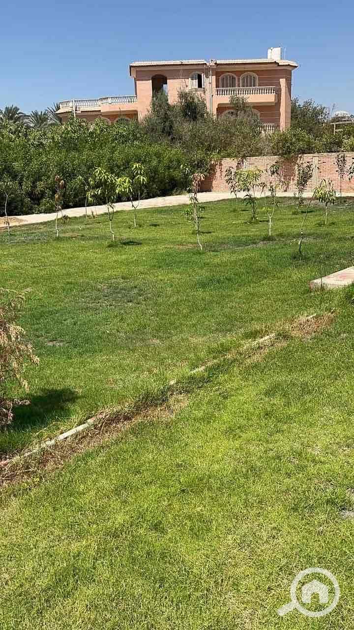 10 32abc09d-603f-48f5-9e73-00a13a9f3d7a. jpg