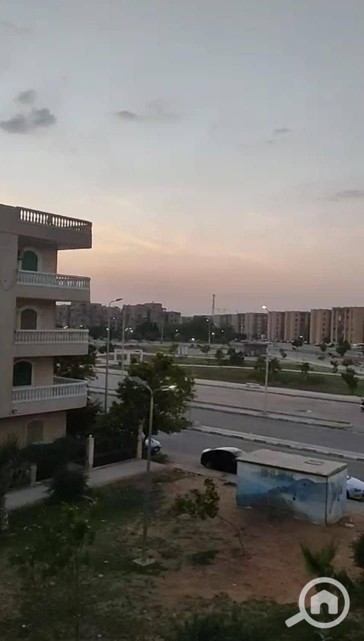 2 photo_3_2025-11-28_00-44-04. jpg