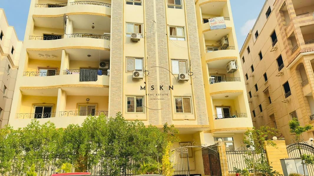 11 photo_2025-11-28 00.59. 41. jpeg