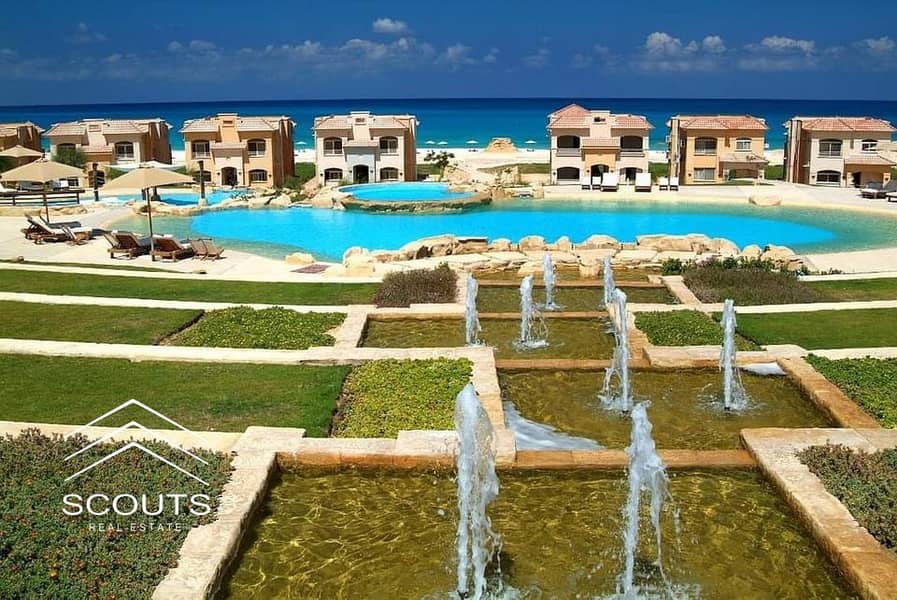 8 d6cff447-6790-4497-9b8b-722184a29baa. jpg