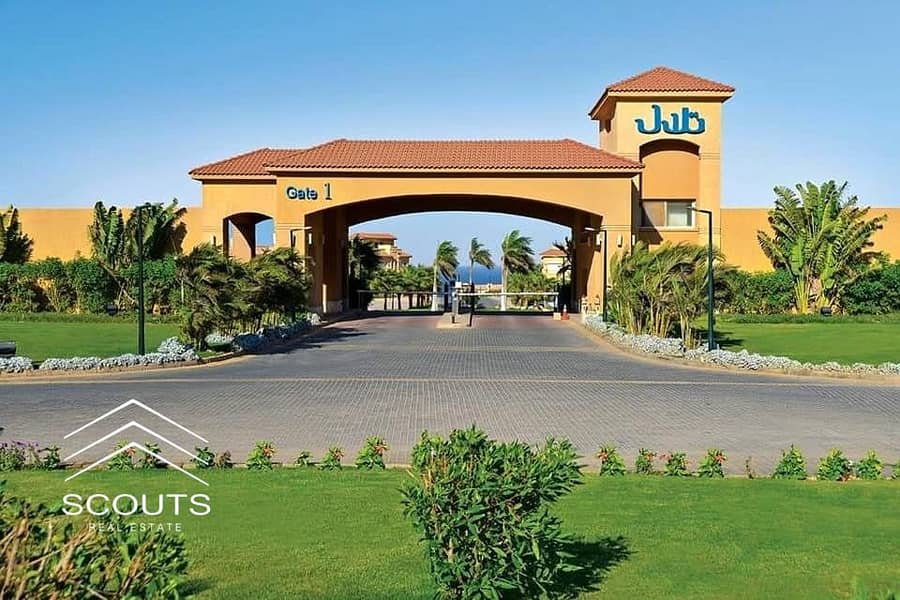 14 342044728_238363322051460_6605477432016675140_n. jpg